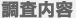 調査内容